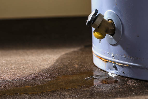 Best Sewage cleanup and water damage restoration  in Ocoee, FL