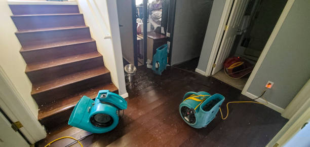 Water damage restoration process in FL