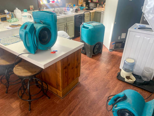 Best Professional water damage repair  in Ocoee, FL