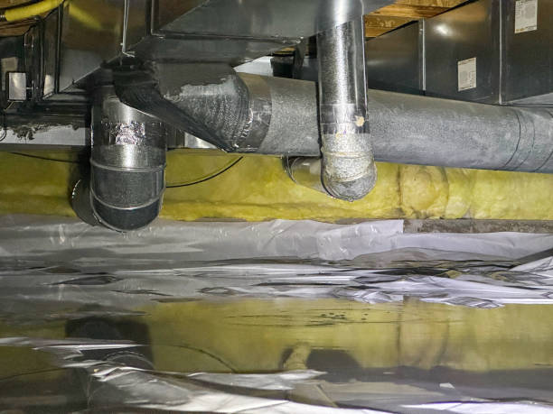Best Local water damage restoration  in Ocoee, FL
